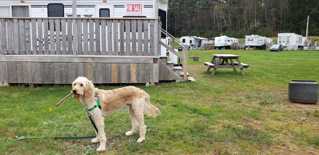 Sherwood Forest Camping Park | 6890 Nova Scotia Trunk 1, Coldbrook, NS B4R 1C5, Canada | Phone: (902) 679-6632