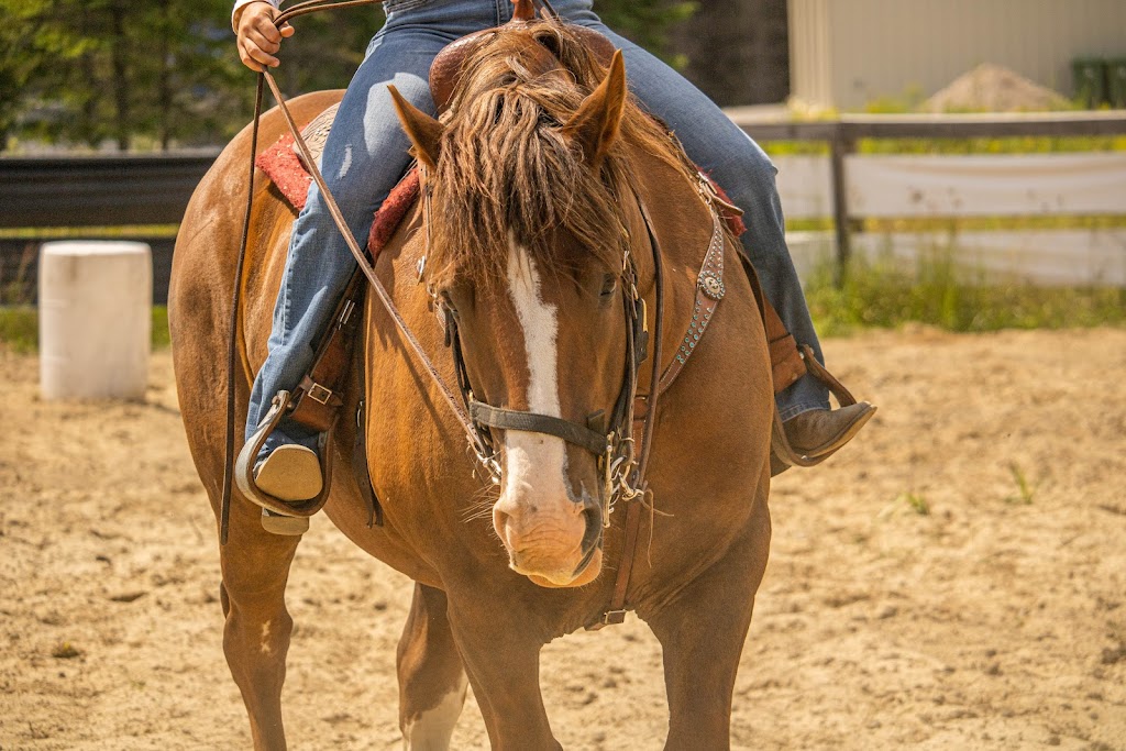 Equestrian Center Deserto | 117 Chem. Baskatong, La Vallée-de-la-Gatineau, QC J0W 1E0, Canada | Phone: (819) 660-9039