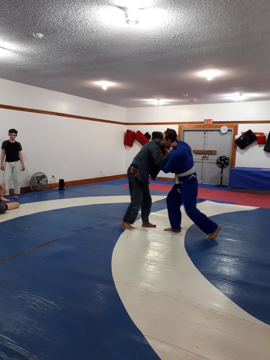 Port Alberni Wado Kai Karate | 4090 Hollywood St, Port Alberni, BC V9Y 4B3, Canada | Phone: (250) 735-9394