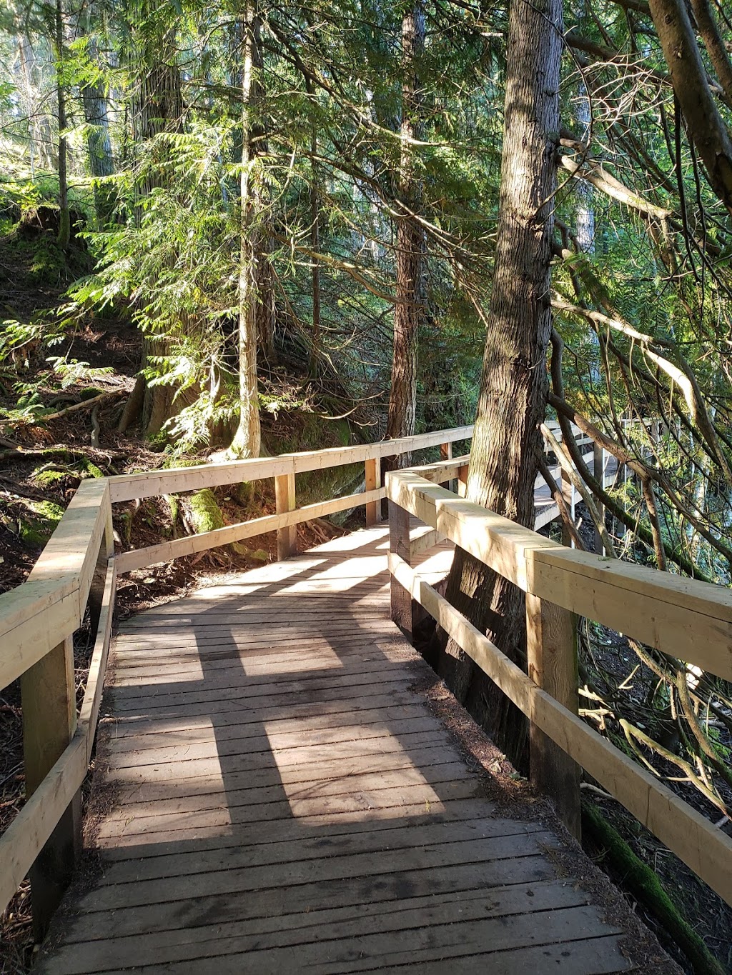 Morrell Nature Sanctuary | 787 Nanaimo Lakes Rd, Nanaimo, BC V9R 3C2, Canada | Phone: (250) 753-5811