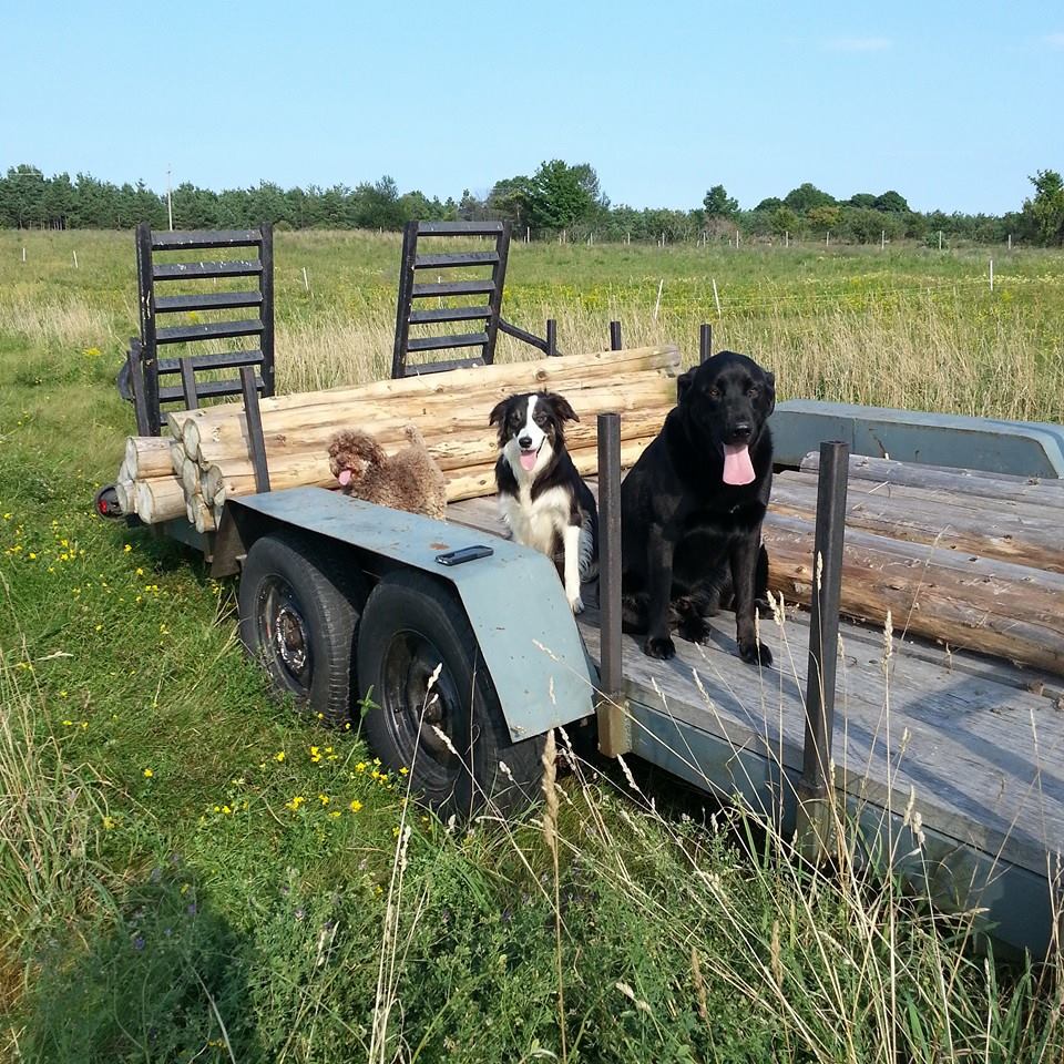 Harris Family Farm | 1220 Brunelle Side Rd, Penetanguishene, ON L9M 2H8, Canada | Phone: (705) 527-9031