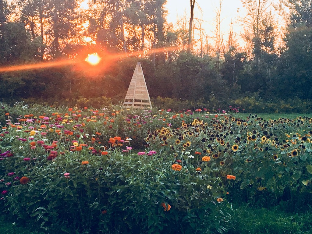 Gracemir Flower Farm | 8486 Guelph Line, Campbellville, ON L0P 1B0, Canada | Phone: (905) 592-1405