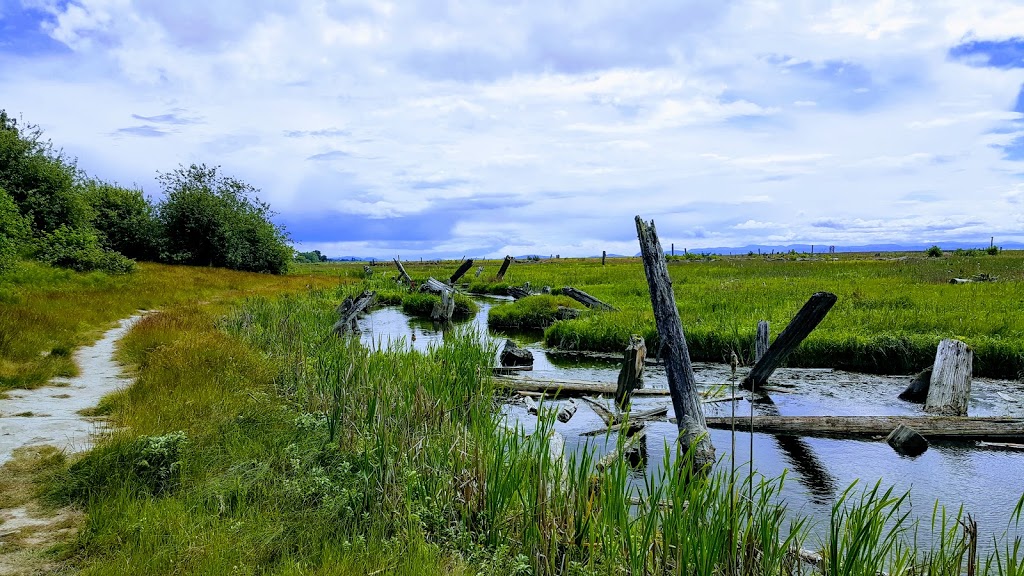 Terra Nova Nature Area | 2700 Westminster Hwy, Richmond, BC V7C 1A9, Canada