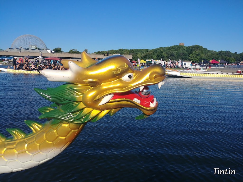 H20 dragon boat Montreal | 37 Chem. du Chenal le Moyne, Montréal, QC H3C 1A9, Canada | Phone: (514) 999-4640