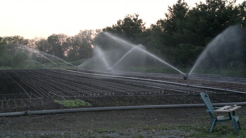 Suhair Organic Farms | 1714 Bethesda Side Rd, Richmond Hill, ON L4E 1A2, Canada | Phone: (416) 669-2061