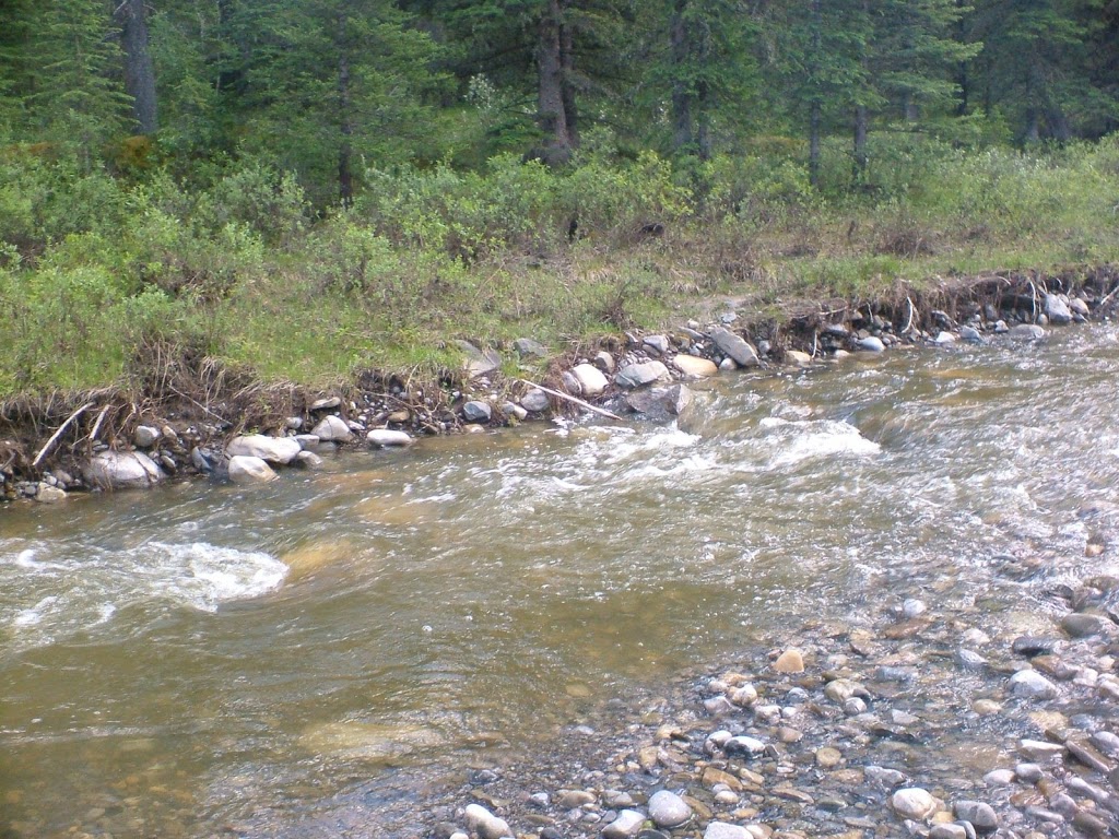 Cartier Creek Campground | Clearwater County, AB T0M, Canada | Phone: (403) 637-2198