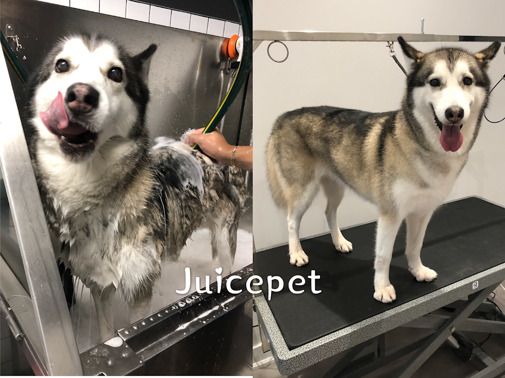 Juicepet | 330 McClellan Way, Aurora, ON L4G 2X8, Canada | Phone: (647) 609-7028