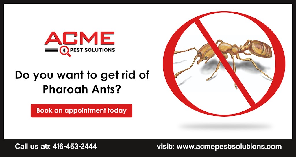 Acme Pest Solutions | 1244 Ellenton Crescent, Milton, ON L9T 6V3, Canada | Phone: (416) 453-2444