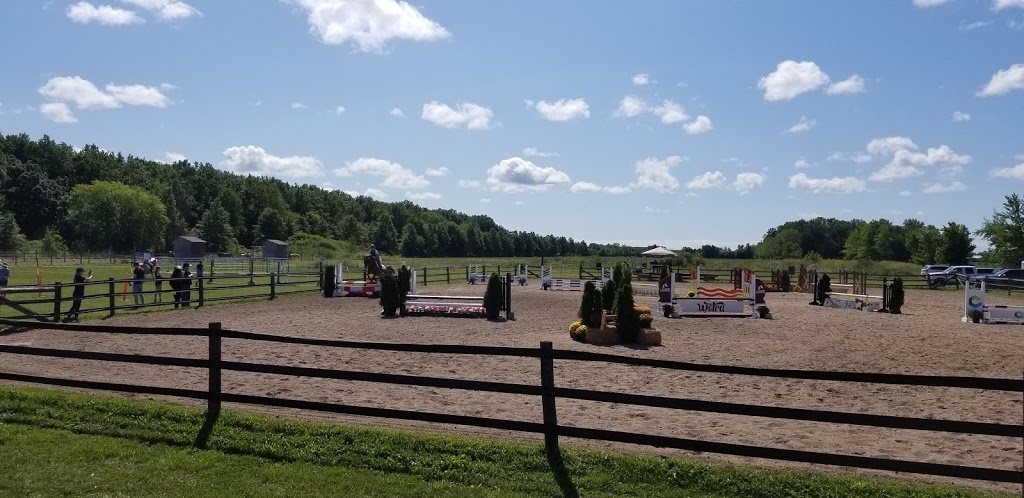 Windsor - Essex Therapeutic Riding Association | 3323 N Malden Rd, Essex, ON N8M 2X6, Canada | Phone: (519) 726-7682