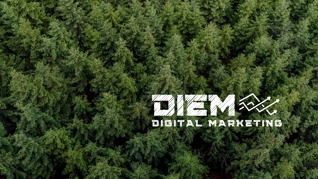 Diem Digital Marketing | 11 Pinewood Ave, Fenelon Falls, ON K0M 1N0, Canada | Phone: (705) 928-4507