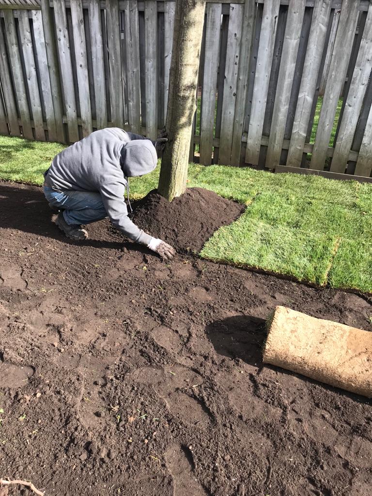 Mr.Sod - The Sod Installation Specialist | 234 Pinetree Way, Mississauga, ON L5G 2R2, Canada | Phone: (416) 704-6007
