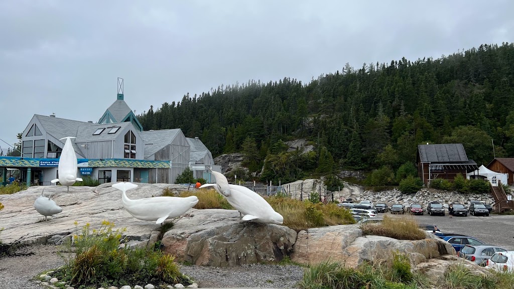 Marine Mammal Interpretation Centre | 108 Rue de la Cale Sèche, Tadoussac, QC G0T 2A0, Canada | Phone: (418) 235-4701