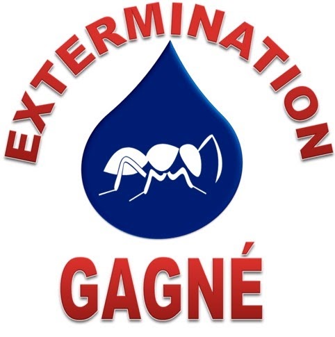 EXTERMINATION GAGNÉ INC. | 9434 Boulevard Pie-IX, Montréal, QC H1Z 4E9, Canada | Phone: (514) 322-8988