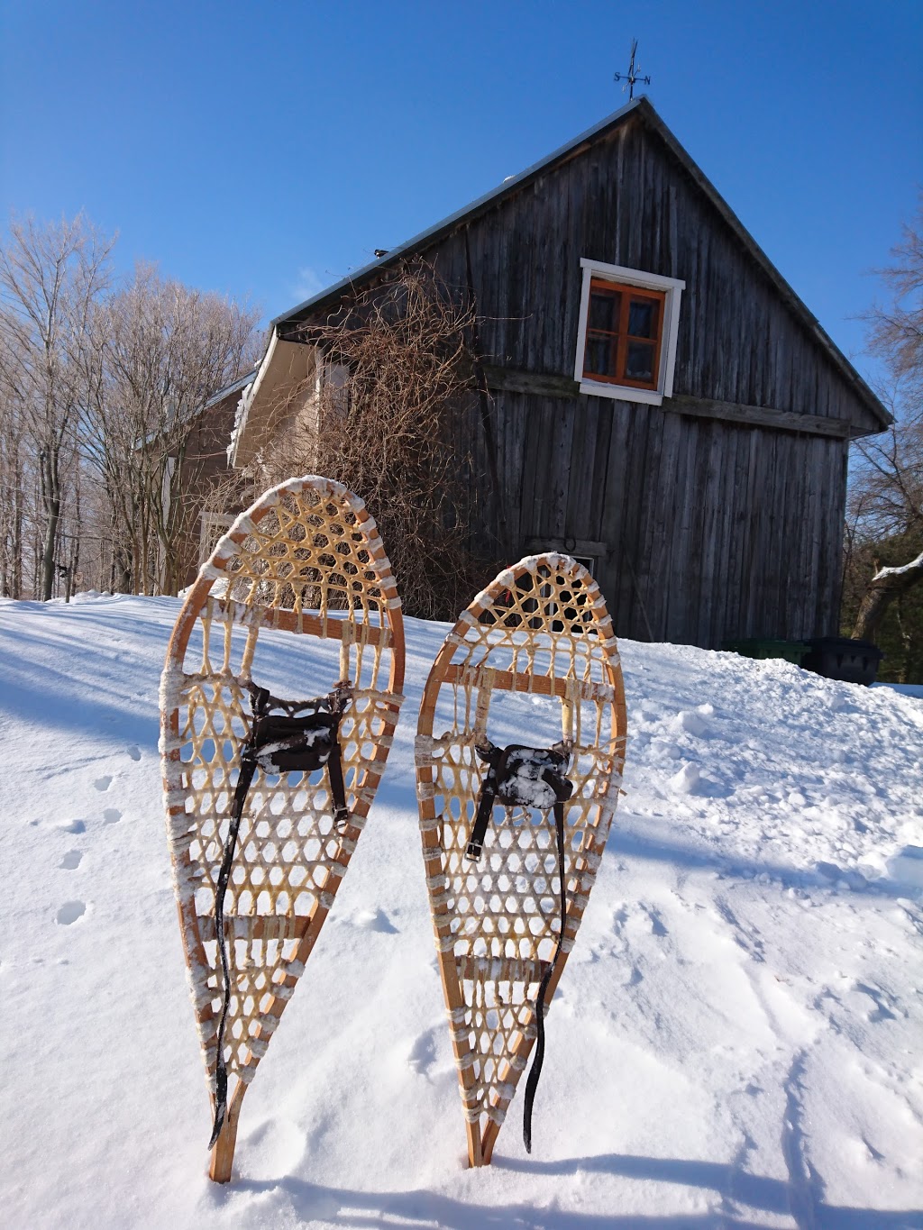 For Friends | 950 Rang de la Rivière Noire, Saint-Casimir, QC G0A 3L0, Canada | Phone: (418) 339-2320