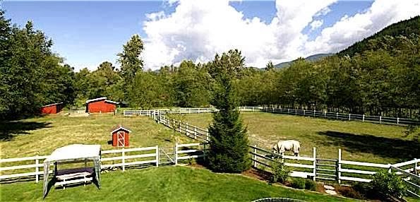 Country Ranch Dog Boarding and Training | 1032 Finch Dr, Squamish, BC V8B 0A4, Canada | Phone: (604) 849-0620