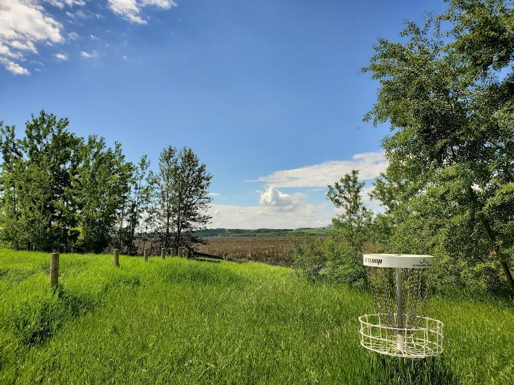 Lloyd Park Disc Golf Course | Foothills County, AB T0L 1W0, Canada | Phone: (403) 256-4113