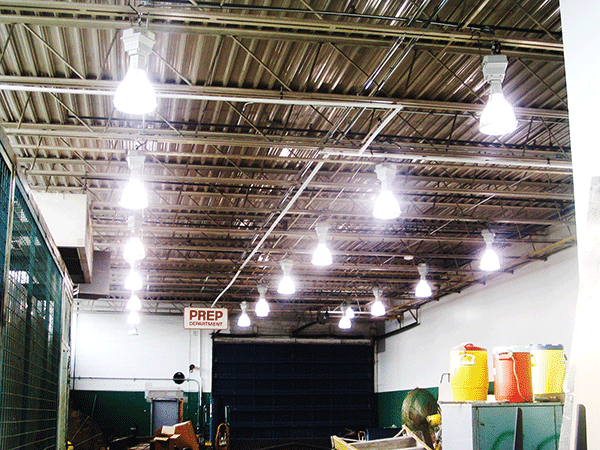 Annex Electric Ltd | 980 Lawrence Ave E Suite 312, North York, ON M3C 1R2, Canada | Phone: (416) 648-7287