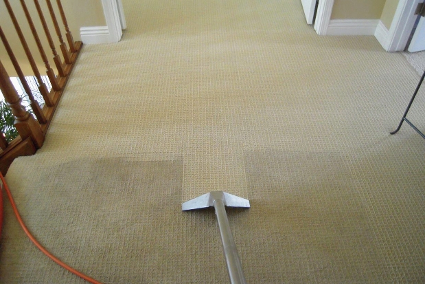 Elegance Carpet Cleaning | 51 Bayshore Dr, Nepean, ON K2B 6M7, Canada | Phone: (613) 854-0666