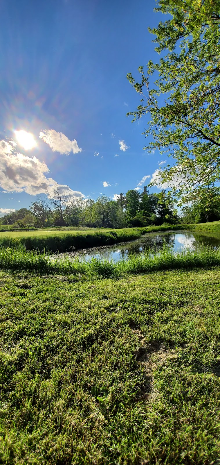 Pelham Hills Golf Club | 196 Webber Rd, Welland, ON L3B 5N8, Canada | Phone: (905) 735-6768