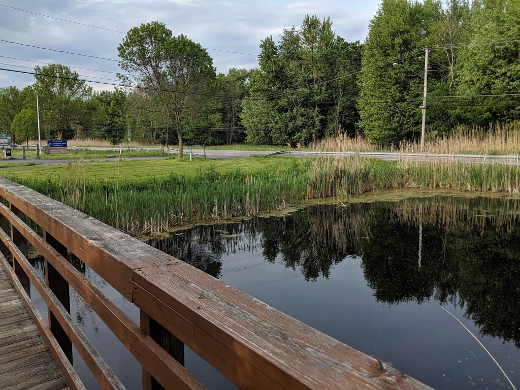 Great Baehre Swamp Wildlife Management Area | Buffalo, NY 14221, USA