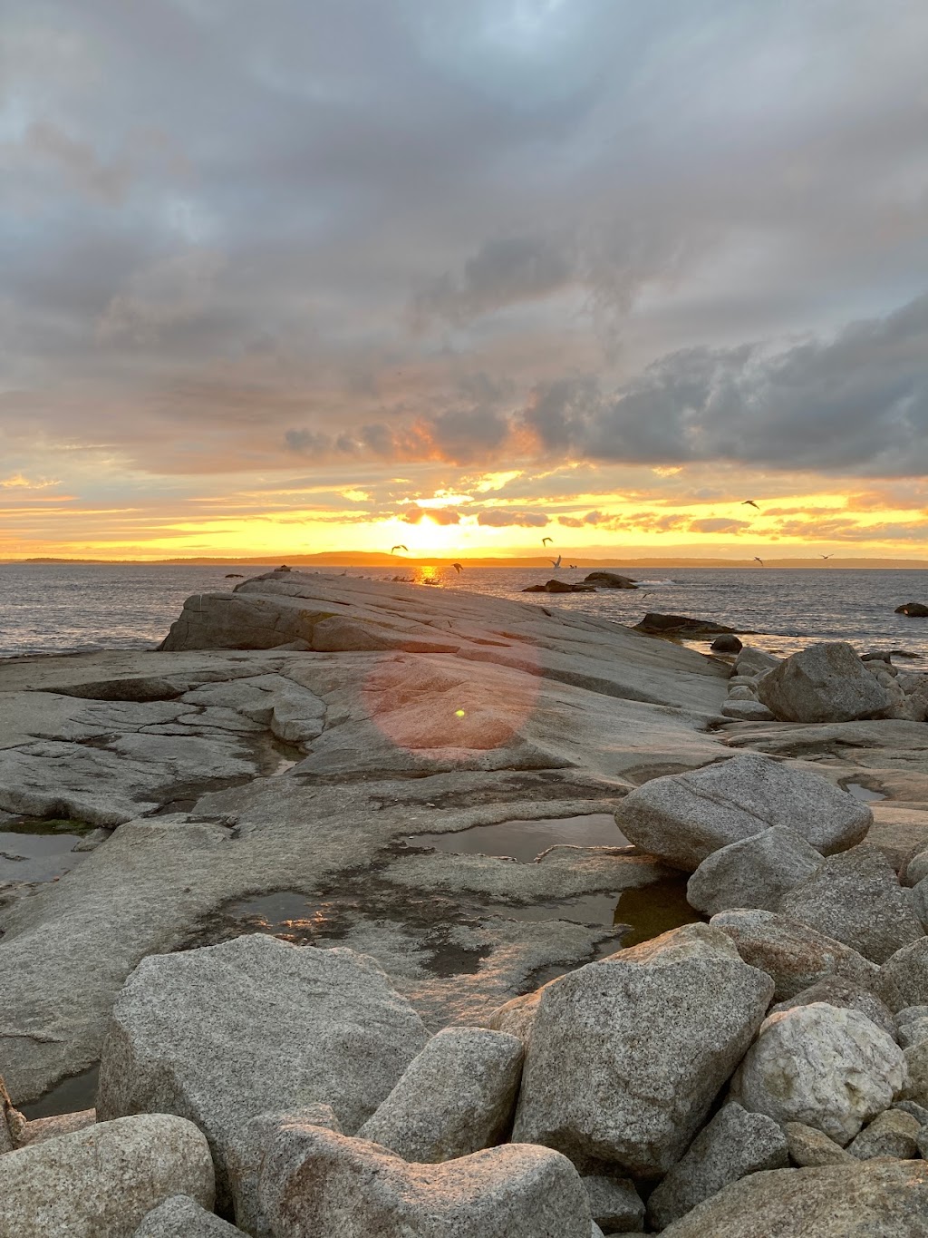 Lighthouse Lane Cottages | 8388 Peggys Cove Rd, Indian Harbour, NS B3Z 3R1, Canada | Phone: (902) 483-0717