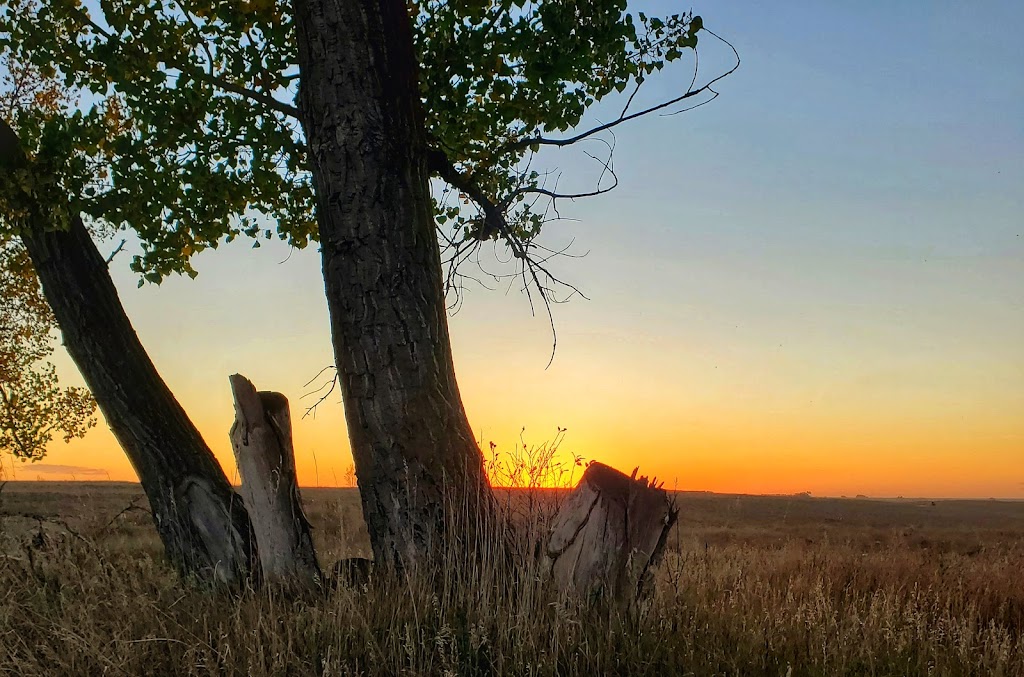 Town of Taber Trout Pond Campground | 3200 Trout Pond Avenue, Taber, AB T1G 0A7, Canada | Phone: (403) 223-5544