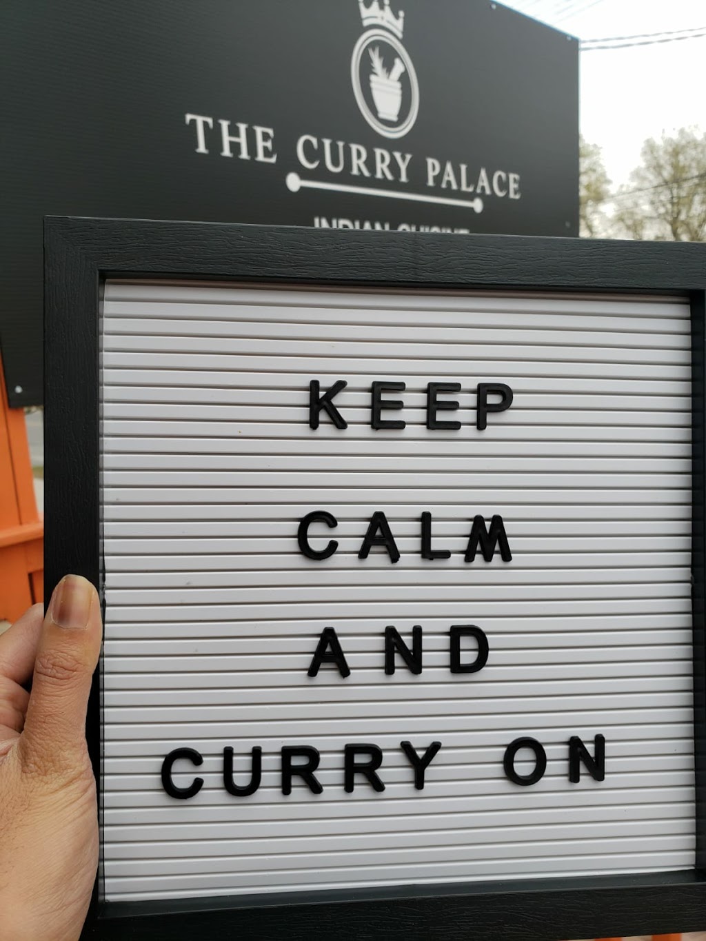 The Curry Palace | 569 Gladstone Ave, Ottawa, ON K1R 5P2, Canada | Phone: (613) 413-1699