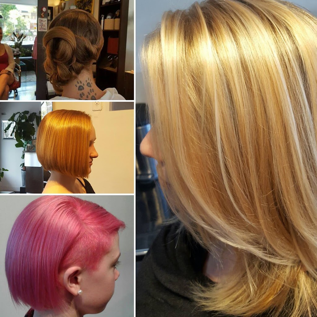 Ana Marias Hair Salon | 1648 Queen St W, Toronto, ON M6R 1B2, Canada | Phone: (416) 532-0096