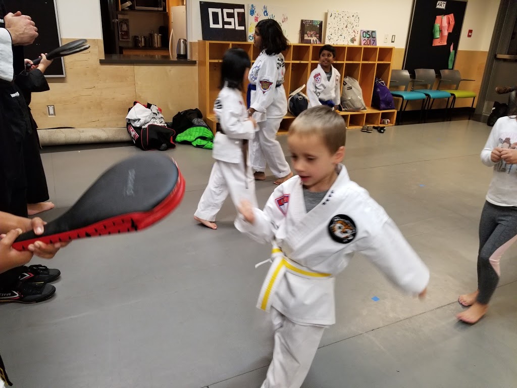 ATA Sonfire Martial Arts | 5140 Smith Dr, Richmond, BC V6V 2W5, Canada | Phone: (604) 583-7191