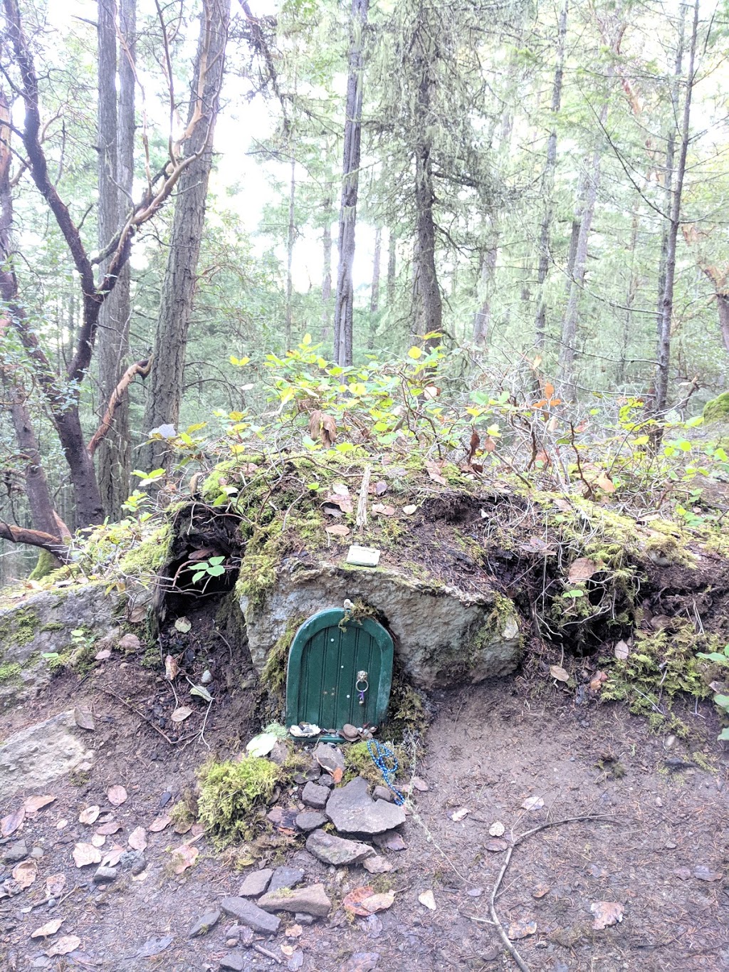 Mt dyan Hiking Trail | Trustees Trail, Salt Spring Island, BC V8K 2Y1, Canada