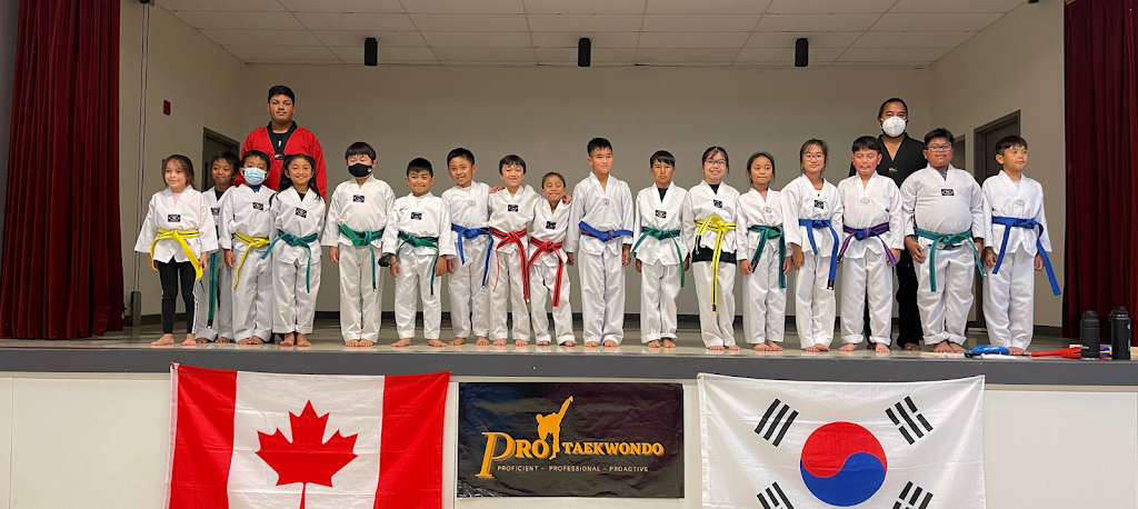 Pro Taekwondo School (St. James) | 323 Bruce Ave, Winnipeg, MB R3J 2Z3, Canada | Phone: (431) 998-5425