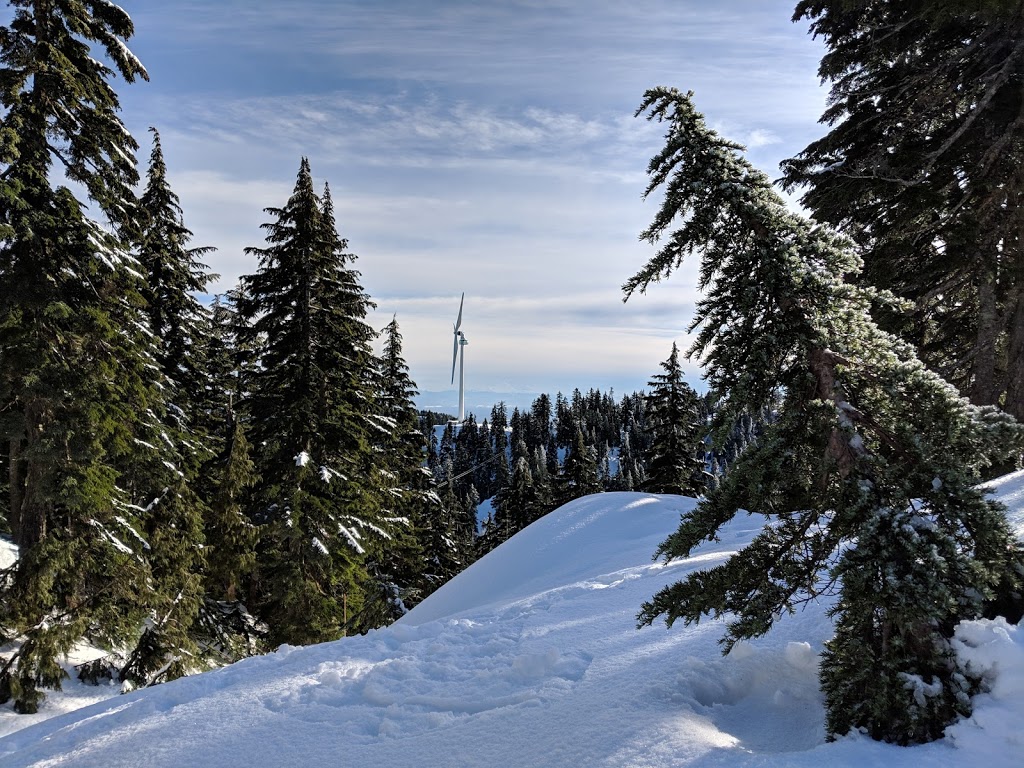 Ridge Trail | Ridge Trail, North Vancouver, BC V7K 1X8, Canada