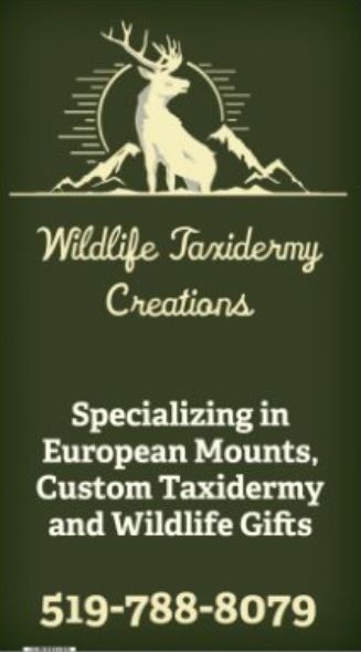 Wildlife Taxidermy Creations | 101 Wilson St, Woodstock, ON N4S 3R8, Canada | Phone: (519) 788-8079