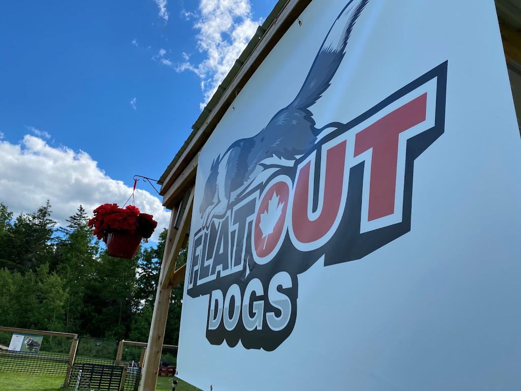 FlatOut Dogs | 6639 NB-15, Woodside, NB E4M 3X7, Canada | Phone: (506) 940-4018