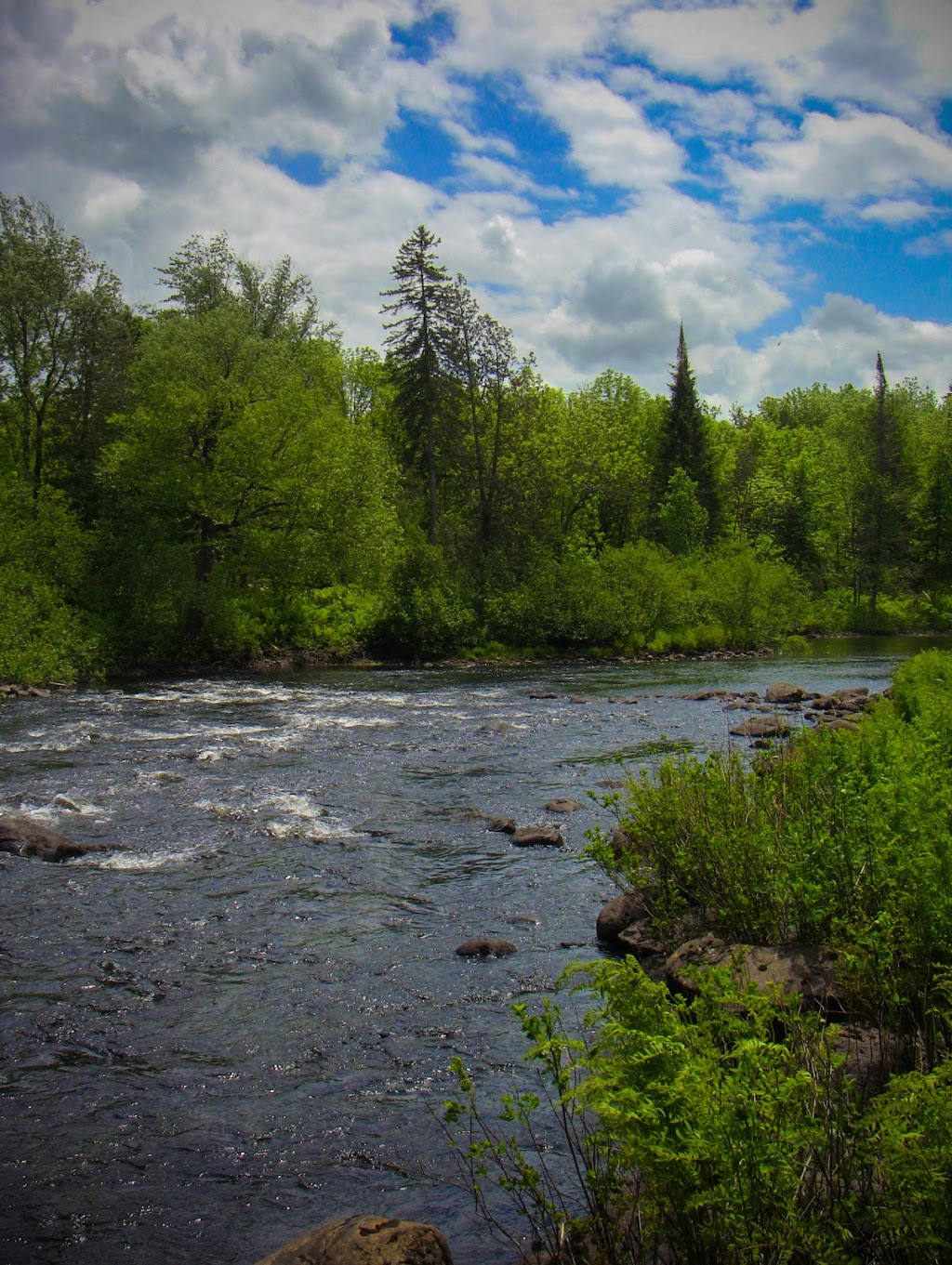 Débarcadère pont Albert-Chartier | 2 Chemin de la Rivière Noire N, Saint-Damien, QC J0K, Canada | Phone: (450) 559-2311