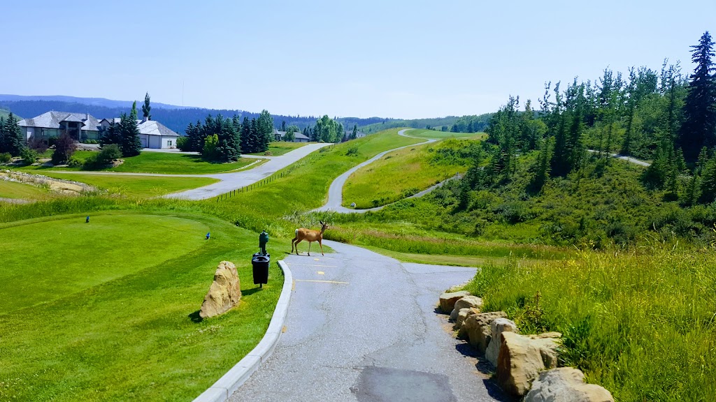 Springbank Turfcare | 333 Rodeo Ridge, Calgary, AB T3Z 3G1, Canada | Phone: (403) 202-2031