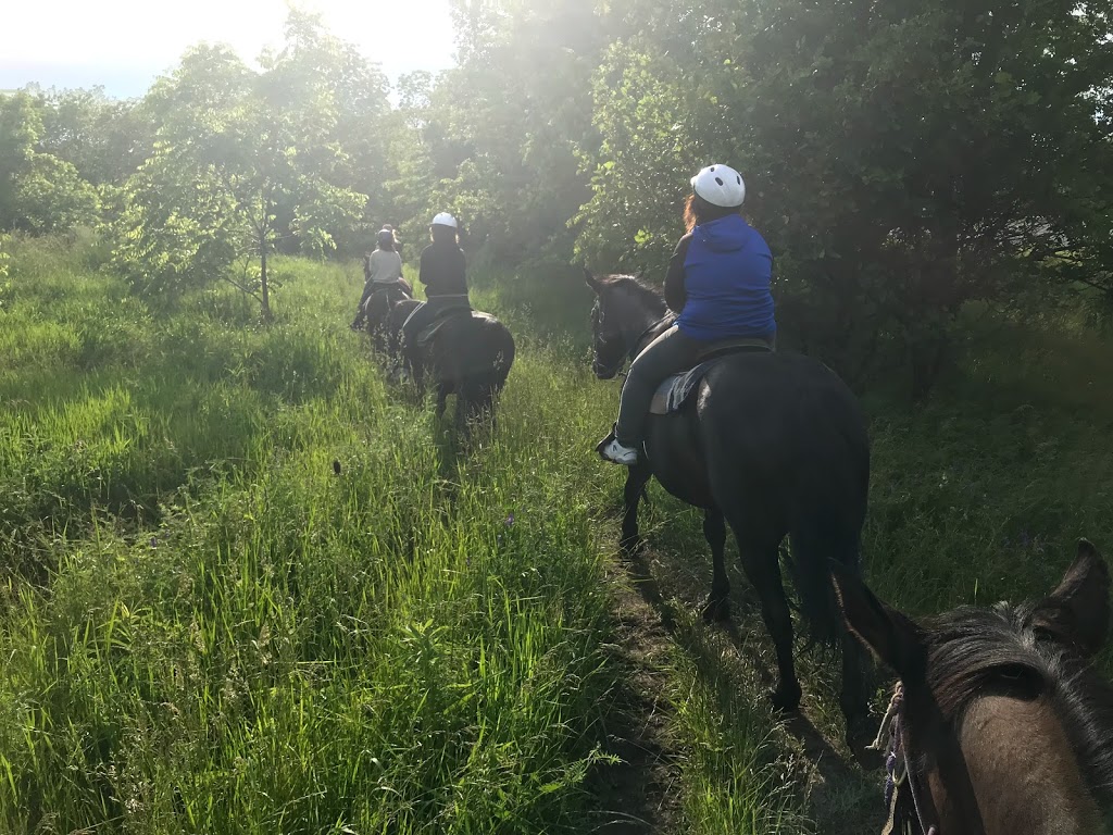 Niagara Riding Stables | 471 Warner Rd, Niagara-on-the-Lake, ON L0S 1J0, Canada | Phone: (905) 262-5101