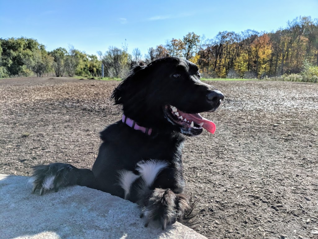 McLennan Dog Park | Laurentian Hills, Kitchener, ON N2E 1T4, Canada