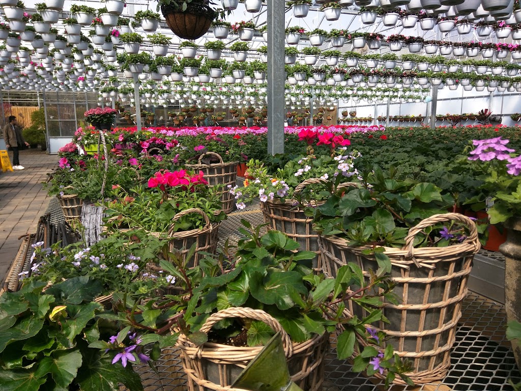 Woodhill Garden Centre | 320 Steeles Av E, Thornhill, ON L3T 1A8, Canada | Phone: (905) 889-2917