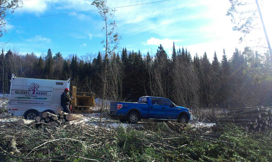 Québec Arbre-Service délagage en Beauce | 1985, Saint-Prosper, QC G0M 1Y0, Canada | Phone: (888) 594-8980