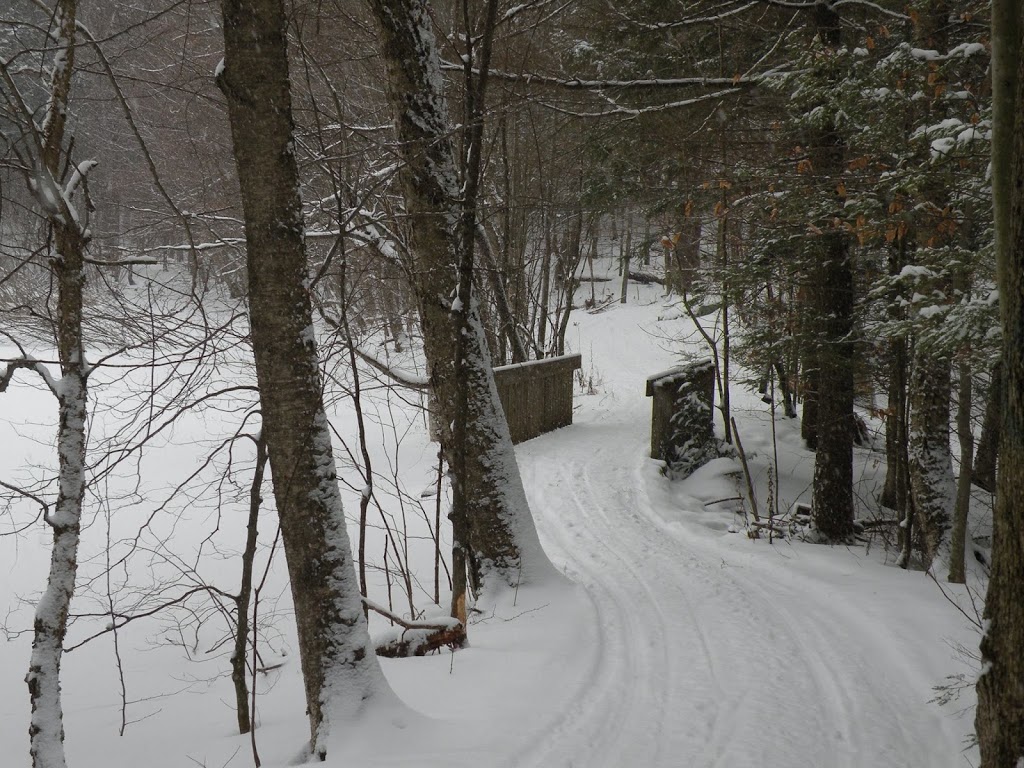 Club de Ski de fond et Raquette de Rougemont | 141 Rang de la Montagne ROUTE 229, Rougemont, QC J0L 1M0, Canada | Phone: (450) 469-4550