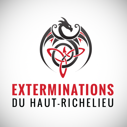 Exterminations du Haut-Richelieu | 195 Rang Grand Sabrevois, Sabrevois, QC J0J 2G0, Canada | Phone: (438) 838-2425