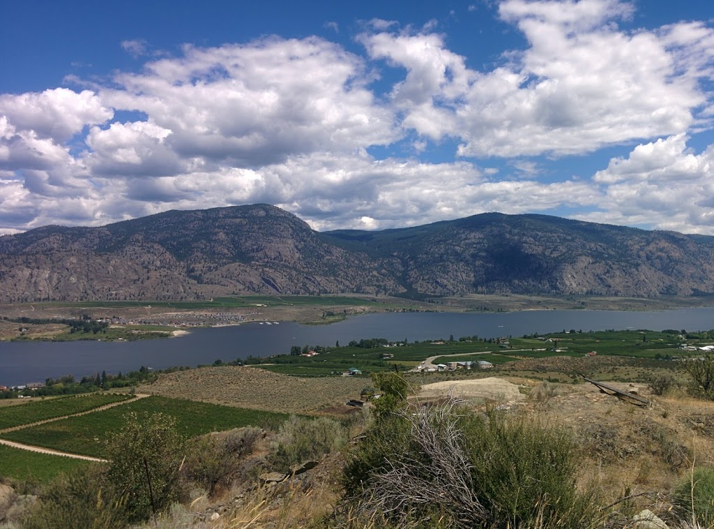 South Okanagan Grasslands Protected Area | Cawston, BC V0X 1C0, Canada | Phone: (800) 689-9025