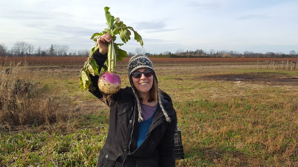 Creek Shore Farms | 1167 Lakeshore Rd W, St. Catharines, ON L2R 6P9, Canada | Phone: (289) 228-0697