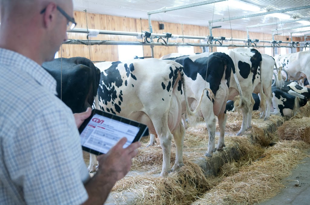 Ferme GeoBastien | 216 Chem. de la Plaine, Sainte-Anne-des-Plaines, QC J0N 1H0, Canada | Phone: (450) 838-8424