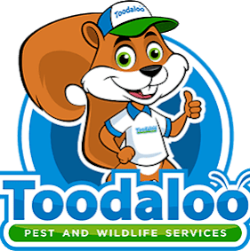 Toodaloo Pest Control | 13327 233 St, Maple Ridge, BC V4R 2H8, Canada | Phone: (844) 866-3256