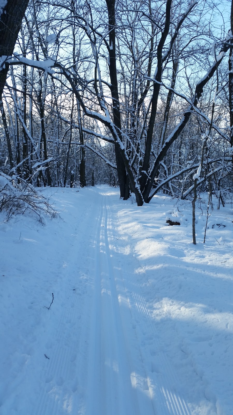 Beaudry Provincial Park | MB-241, Springstein, MB R0G 2N0, Canada | Phone: (800) 214-6497