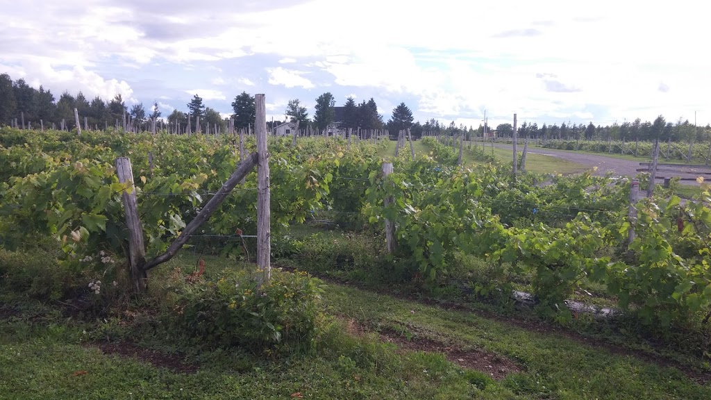 Vignoble du Faubourg | 479 Rue des Bourgault, Saint-Jean-Port-Joli, QC G0R 3G0, Canada | Phone: (418) 598-6121