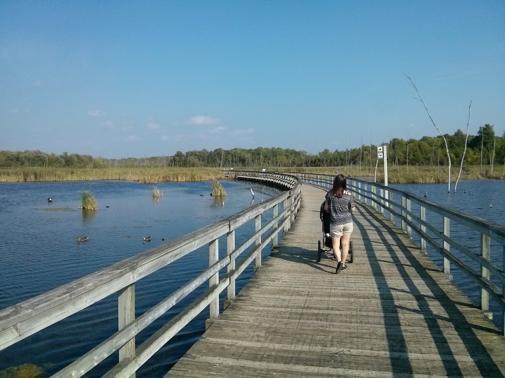 Bois-de-lÎle-Bizard Nature Park | 2115 Chemin du Bord-du-Lac, LÎle-Bizard, QC H9C 1P3, Canada | Phone: (514) 280-8517