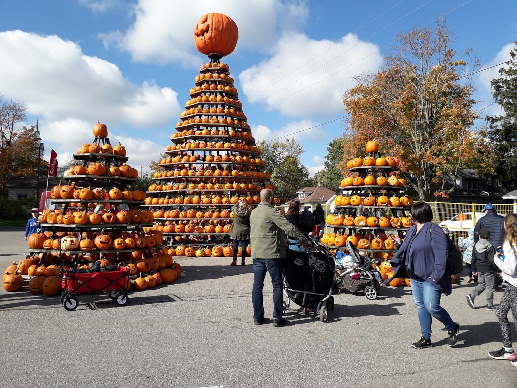 Waterford Pumpkin Festival Inc | 76 Main St S, Waterford, ON N0E 1Y0, Canada | Phone: (519) 443-4944